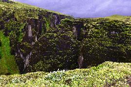 détail du canyon de rivière profond et sinueux de Fjaðrárgljúfur