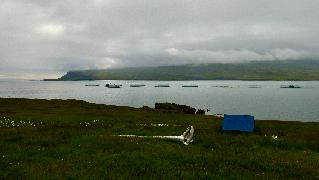sur la route 955, Fáskrúðsfjörður, élevage de saumon  