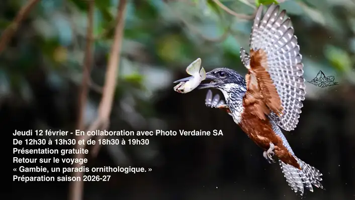 Gambie, conférences