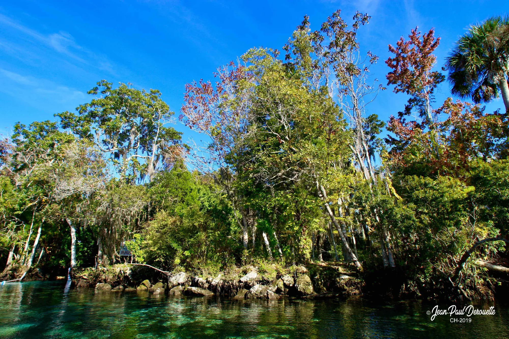 Portfolio/Floride/Photos/3V6T4909.webp