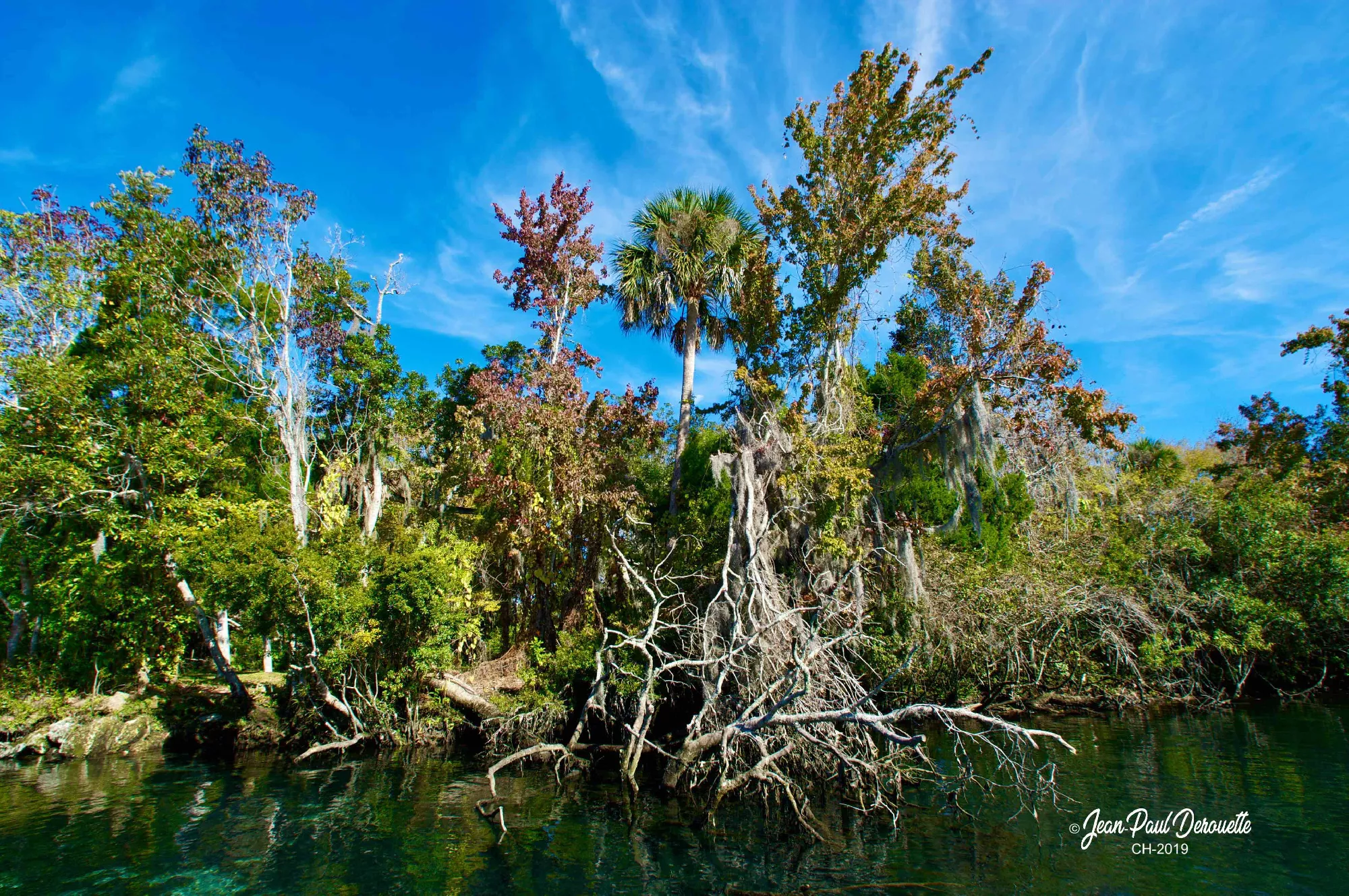 Portfolio/Floride/Photos/3V6T4918.webp