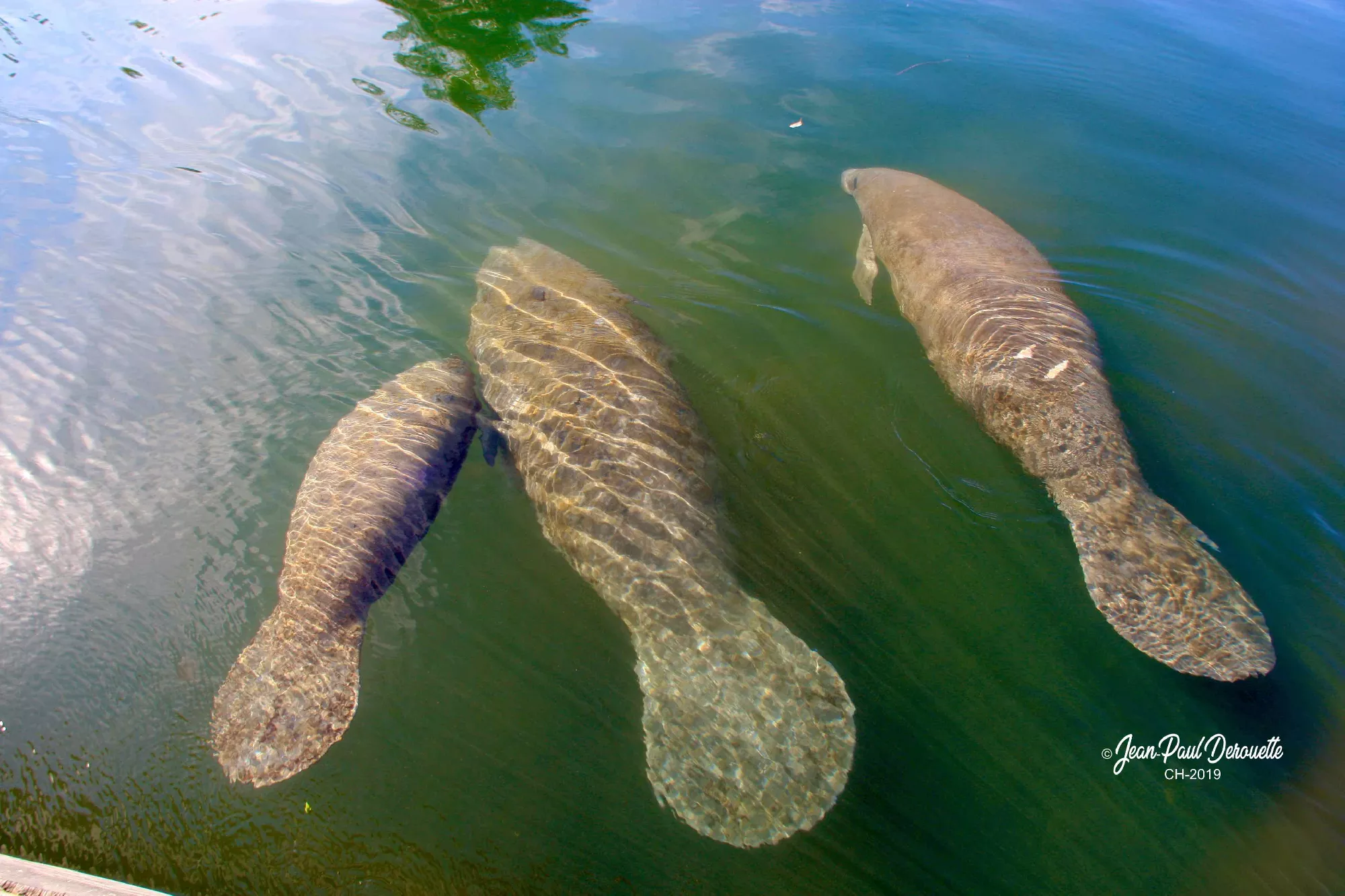 Portfolio/Floride/Photos/3V6T4925.webp