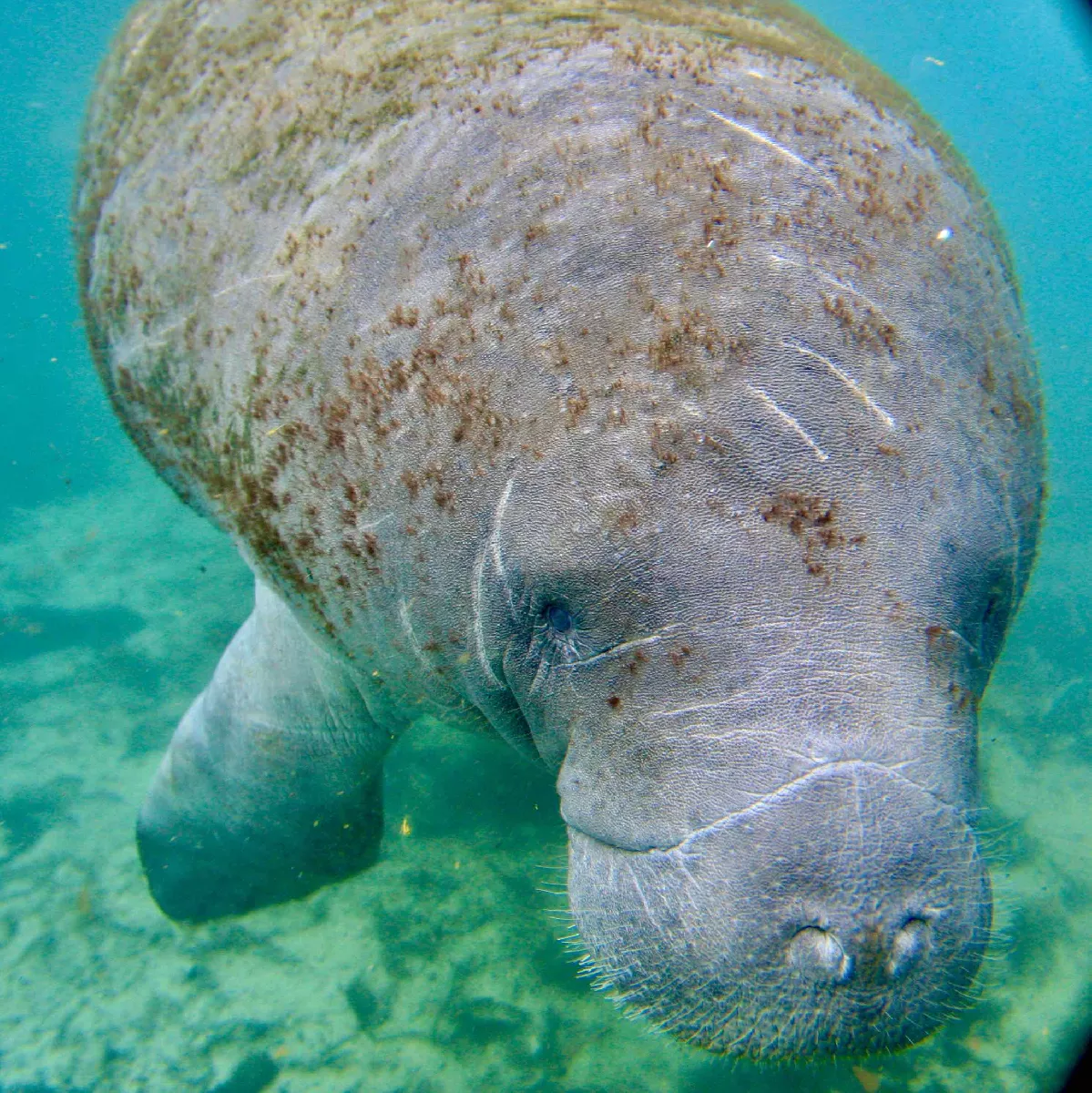 Portfolio/Floride/Photos/3V6T4954.webp