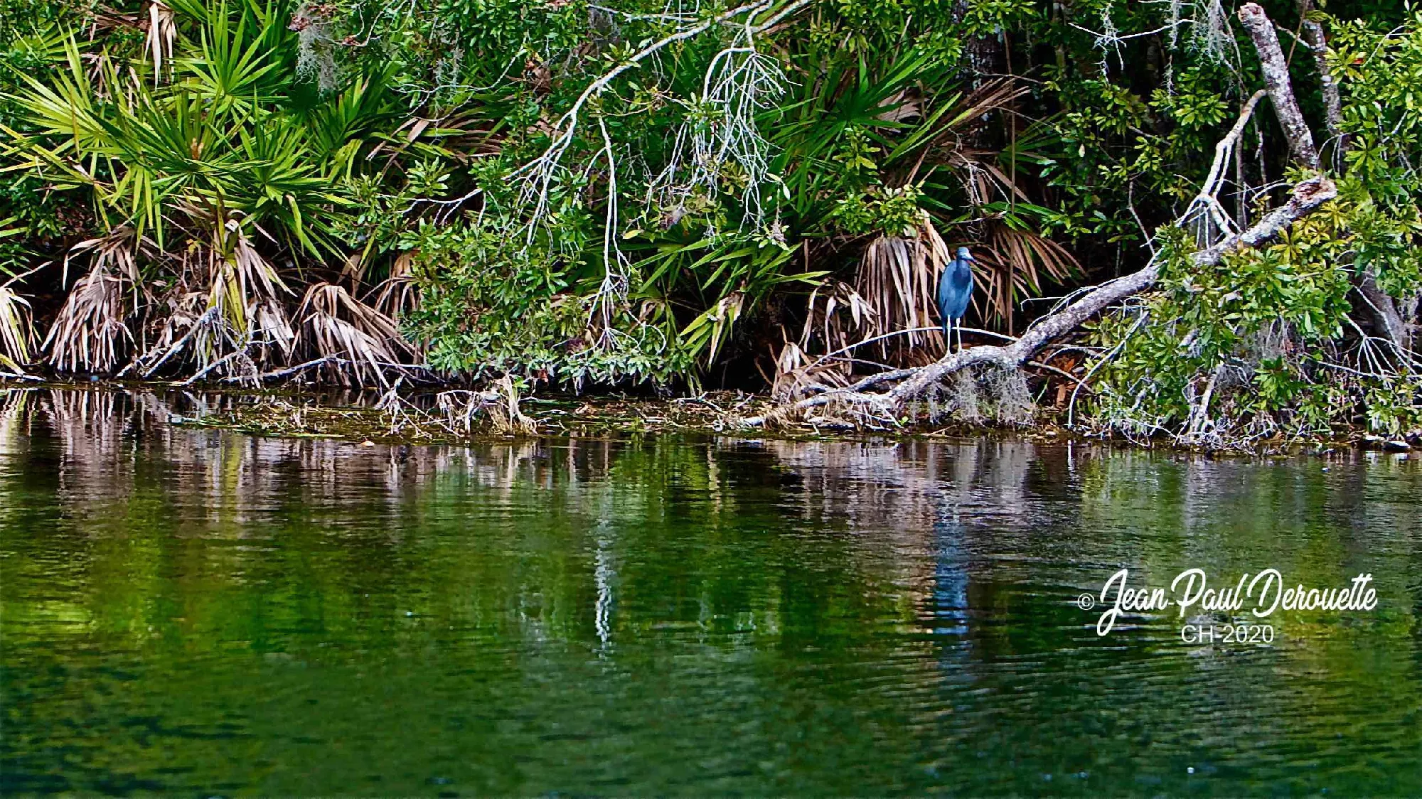 Portfolio/Floride/Photos/3V6T5059.webp