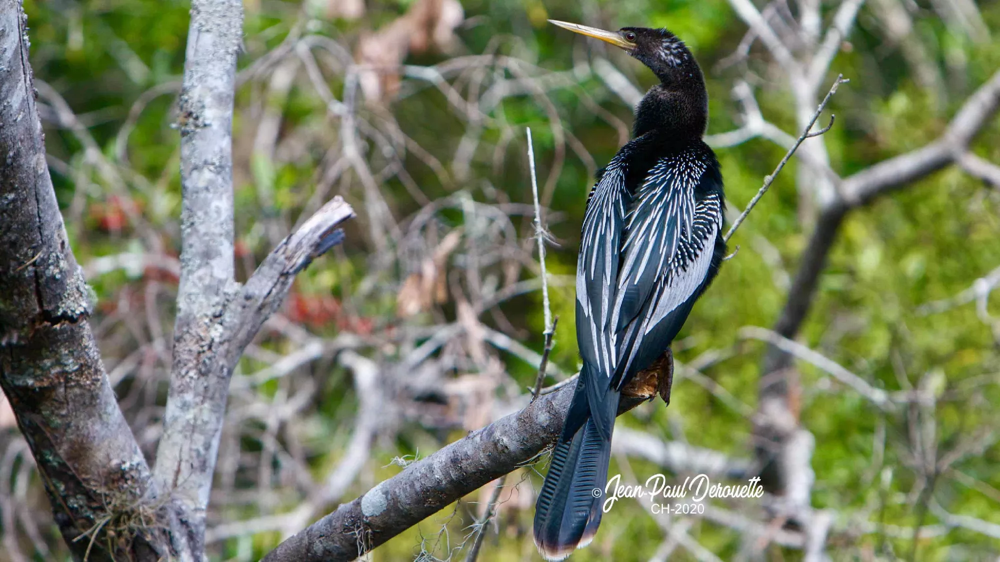 Portfolio/Floride/Photos/3V6T5068.webp