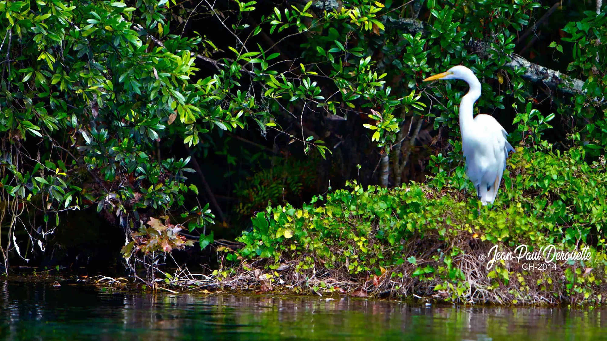Portfolio/Floride/Photos/3V6T5072.webp