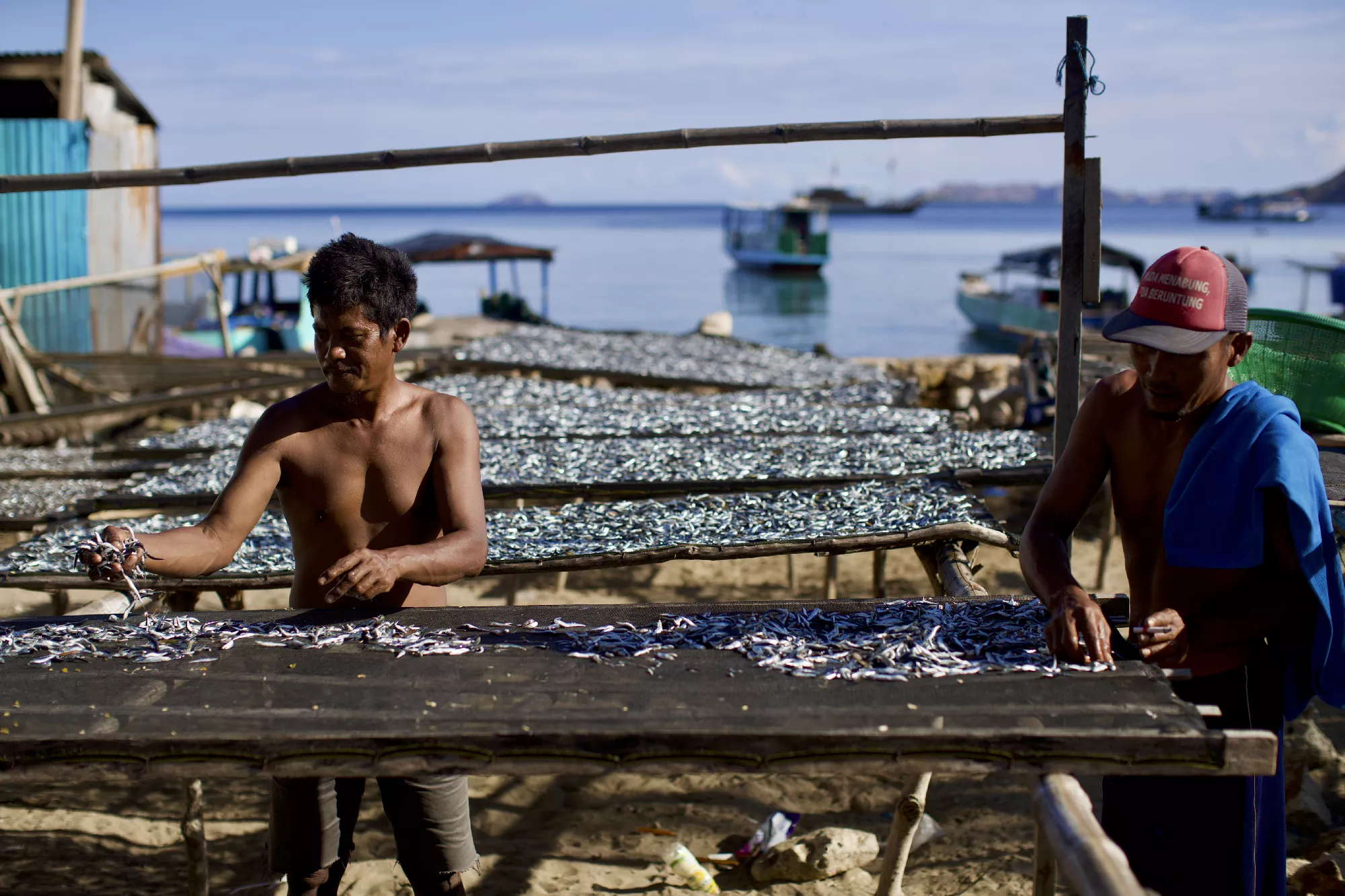 Portfolio/Indonesie/Photos/75I2611.webp