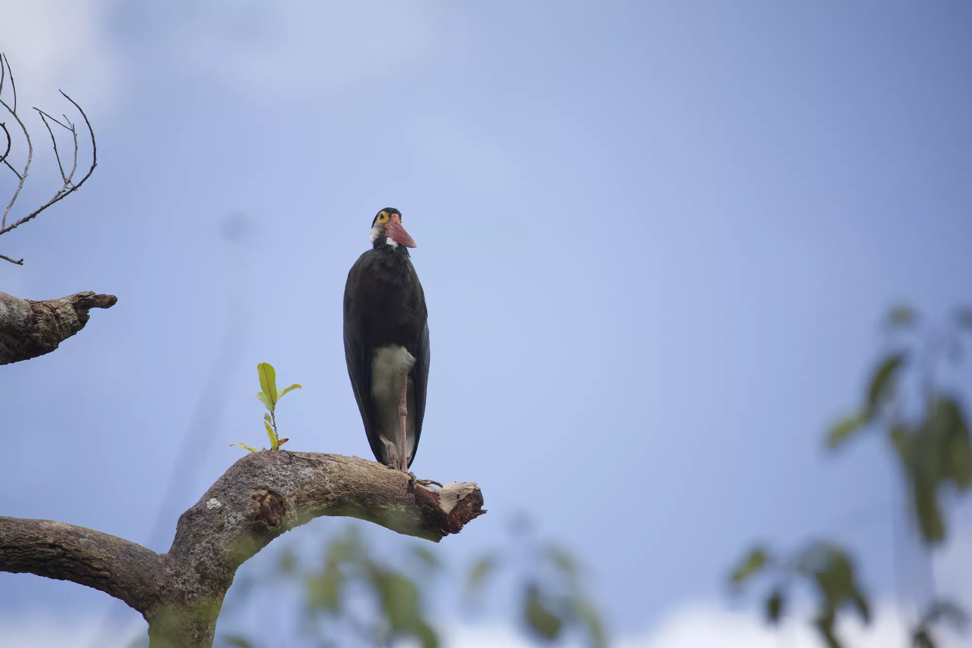 Portfolio/Indonesie/Photos/B7A1968.webp