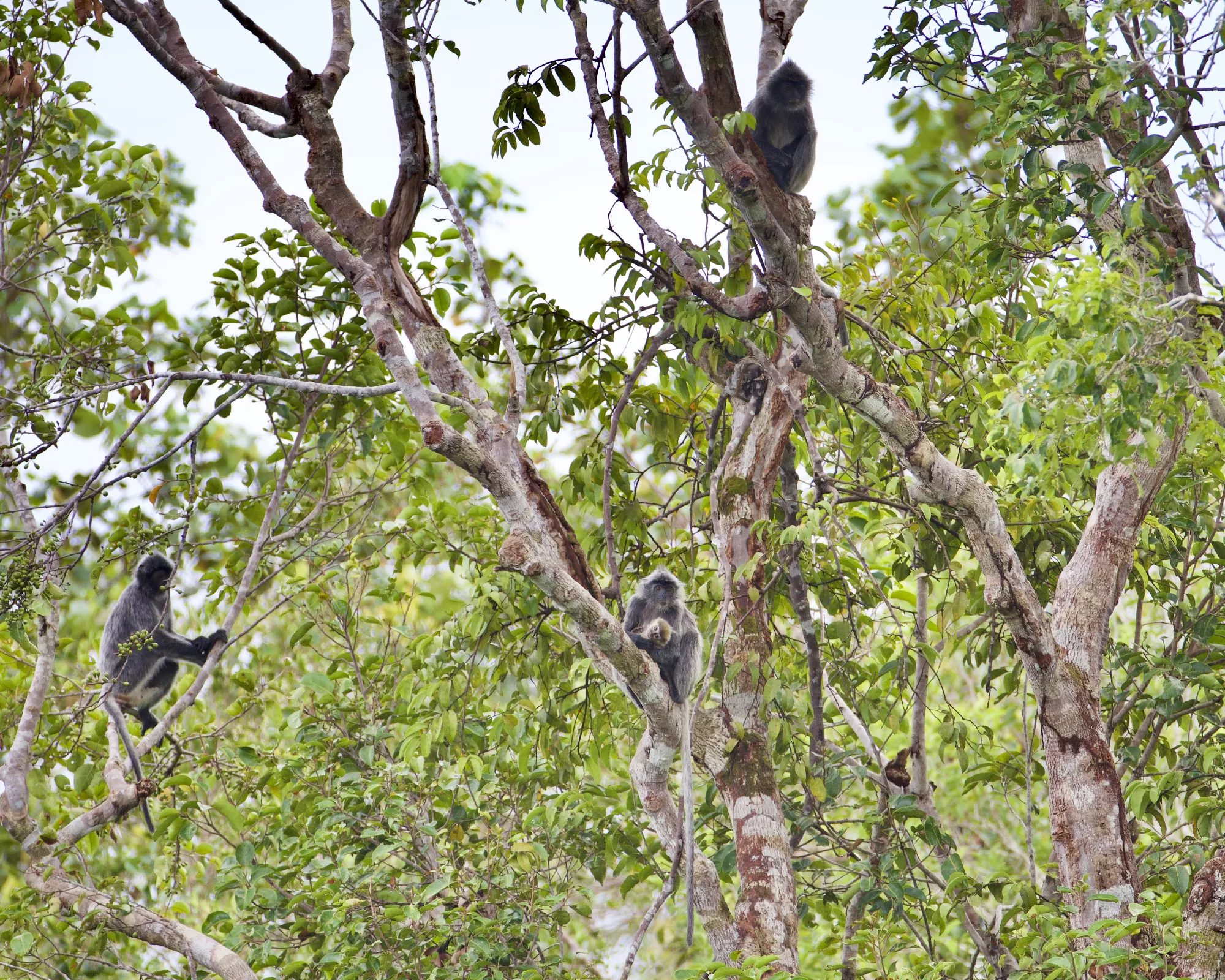 Portfolio/Indonesie/Photos/B7A5768.webp