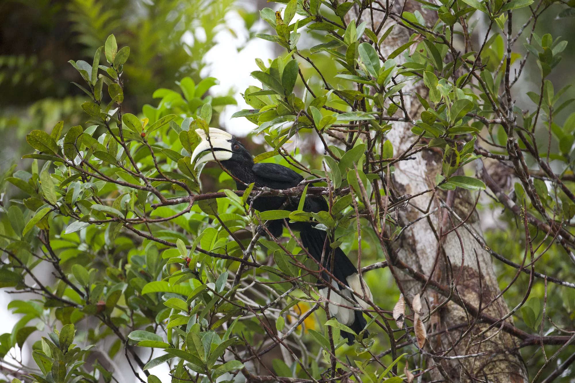 Portfolio/Indonesie/Photos/B7A7240.webp
