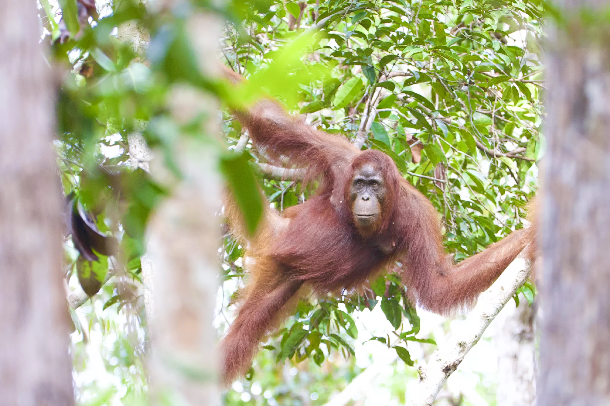 Portfolio/Indonesie/Photos/B7A9575.webp