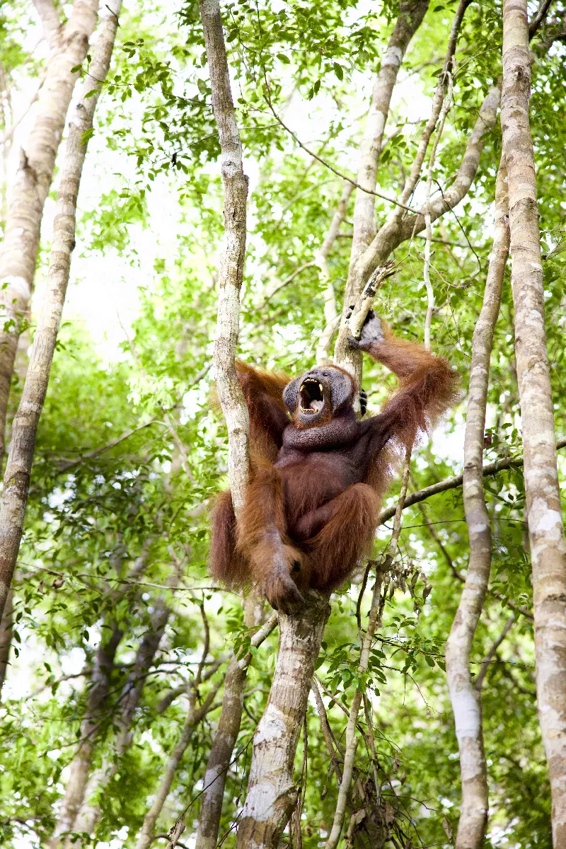 Portfolio/Indonesie/Photos/J2A3576.webp