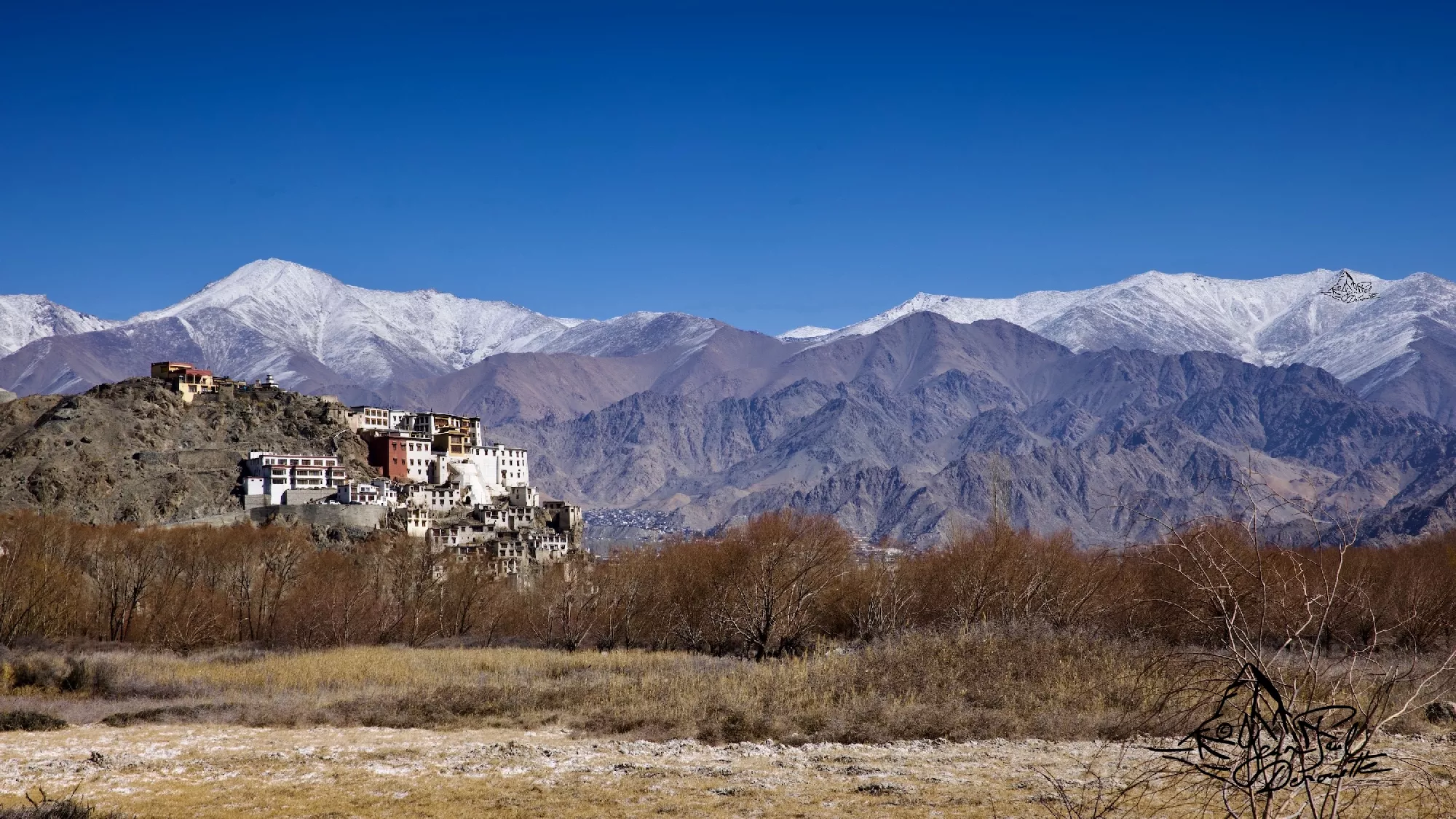 Portfolio/Ladakh/Photos/17_PRV9948.webp