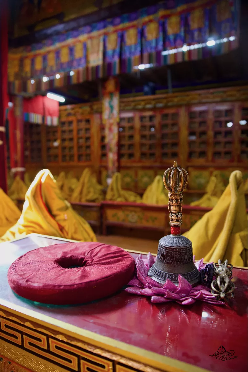 Portfolio/Ladakh/Photos/26_PRV0097.webp