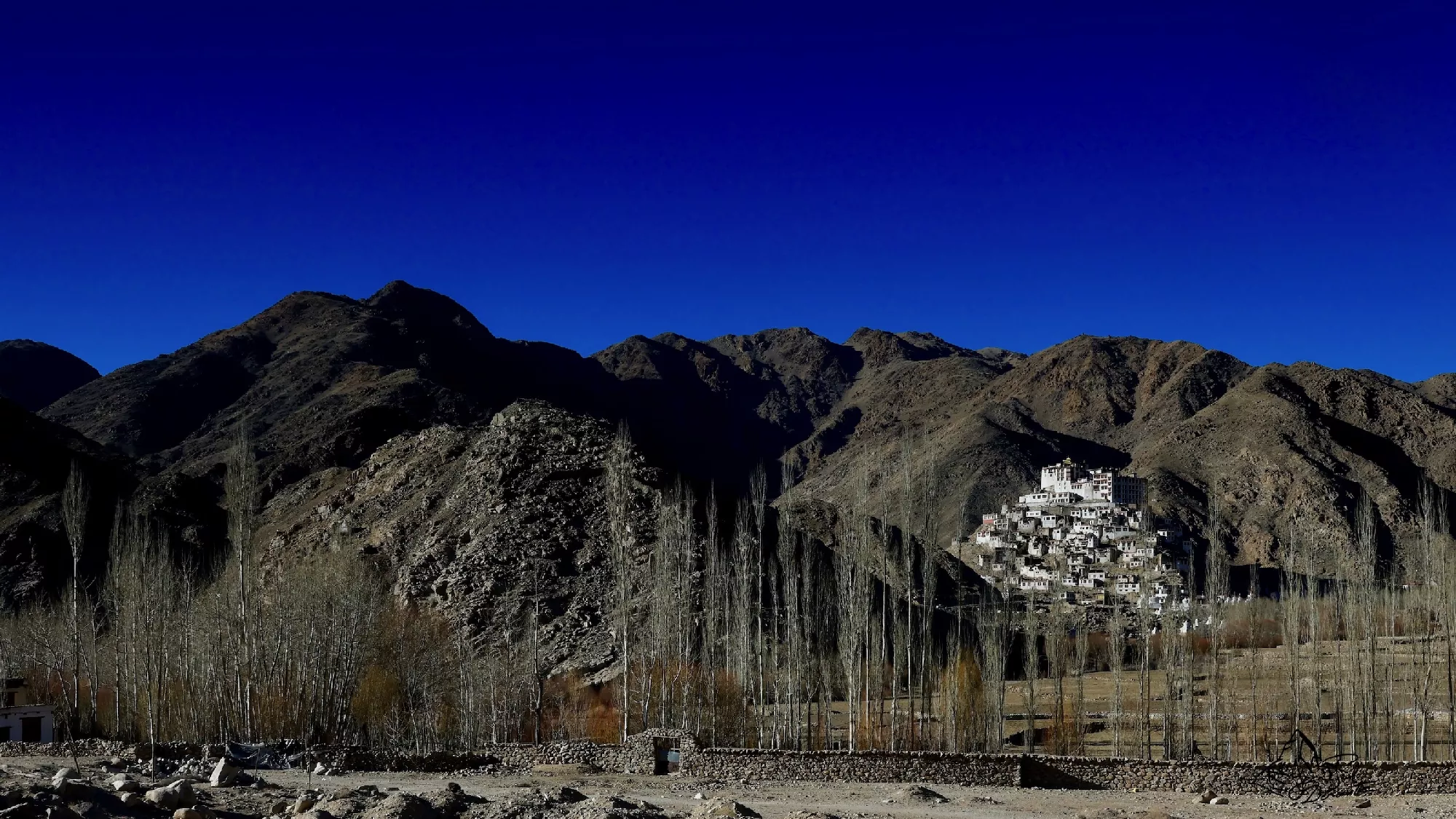Portfolio/Ladakh/Photos/29_PRV2523.webp