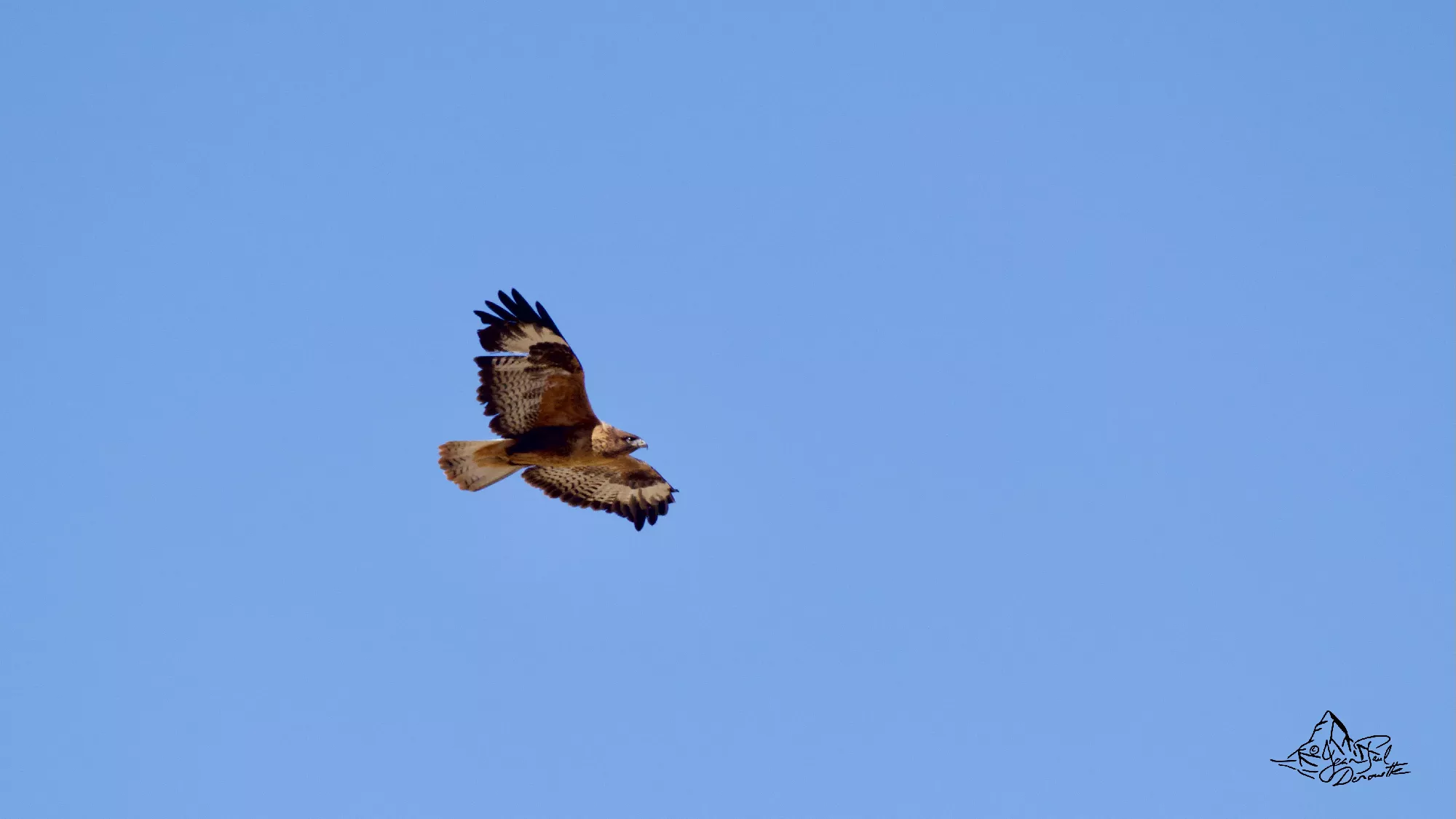 Portfolio/Ladakh/Photos/30_Z9A0148.webp