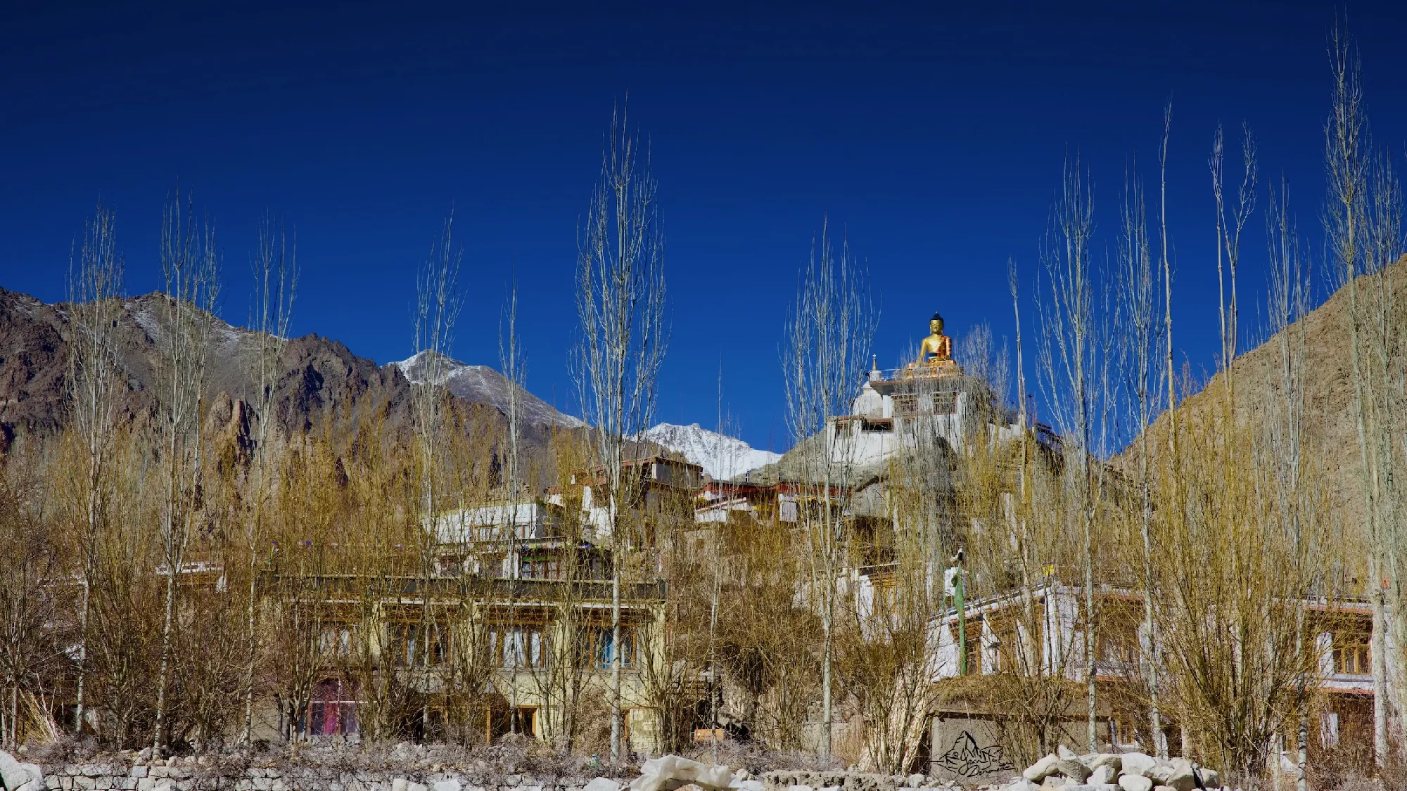 Portfolio/Ladakh/Photos/31_PRV1846.webp