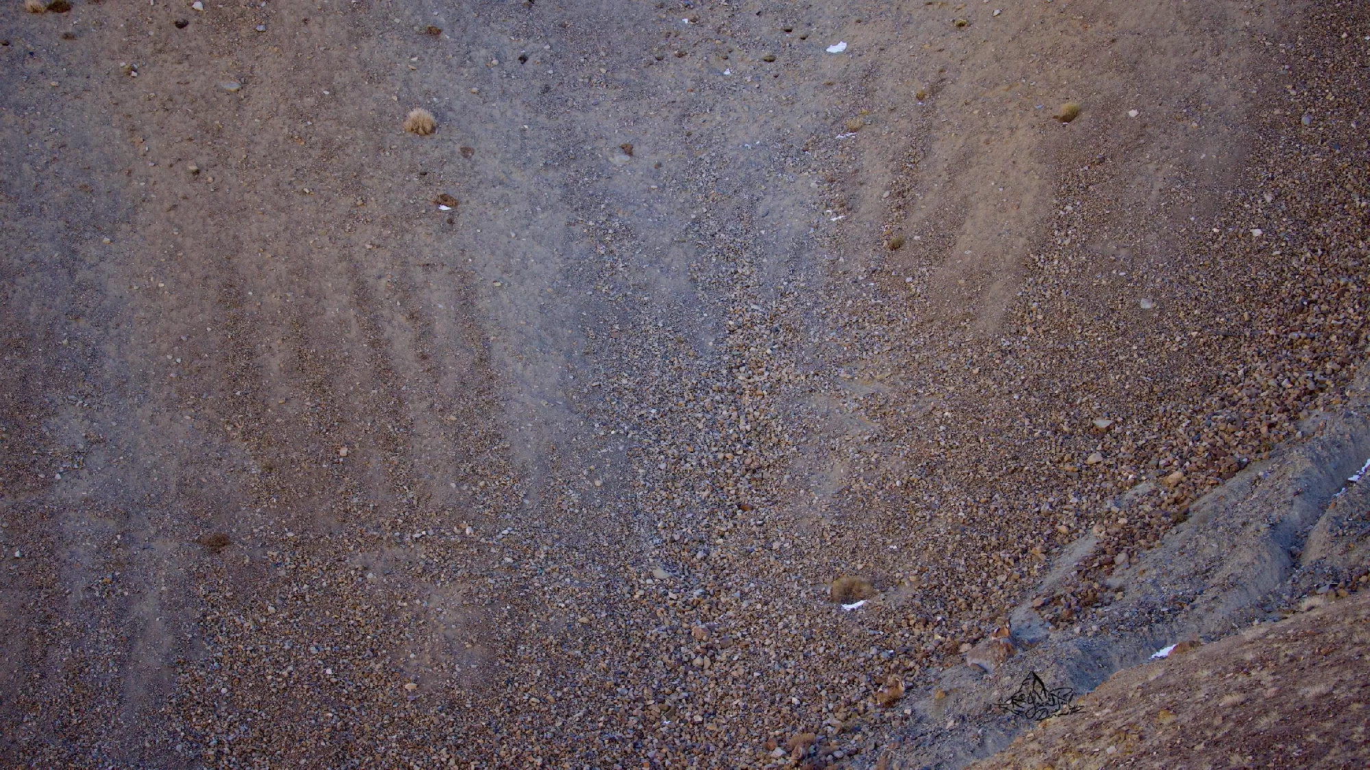 Portfolio/Ladakh/Photos/32_PRV1937.webp