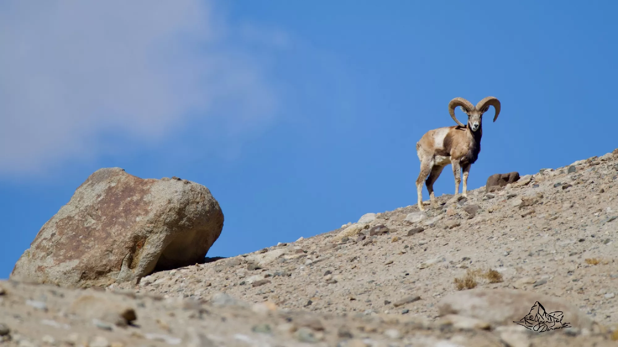 Portfolio/Ladakh/Photos/34_Z9A3856.webp