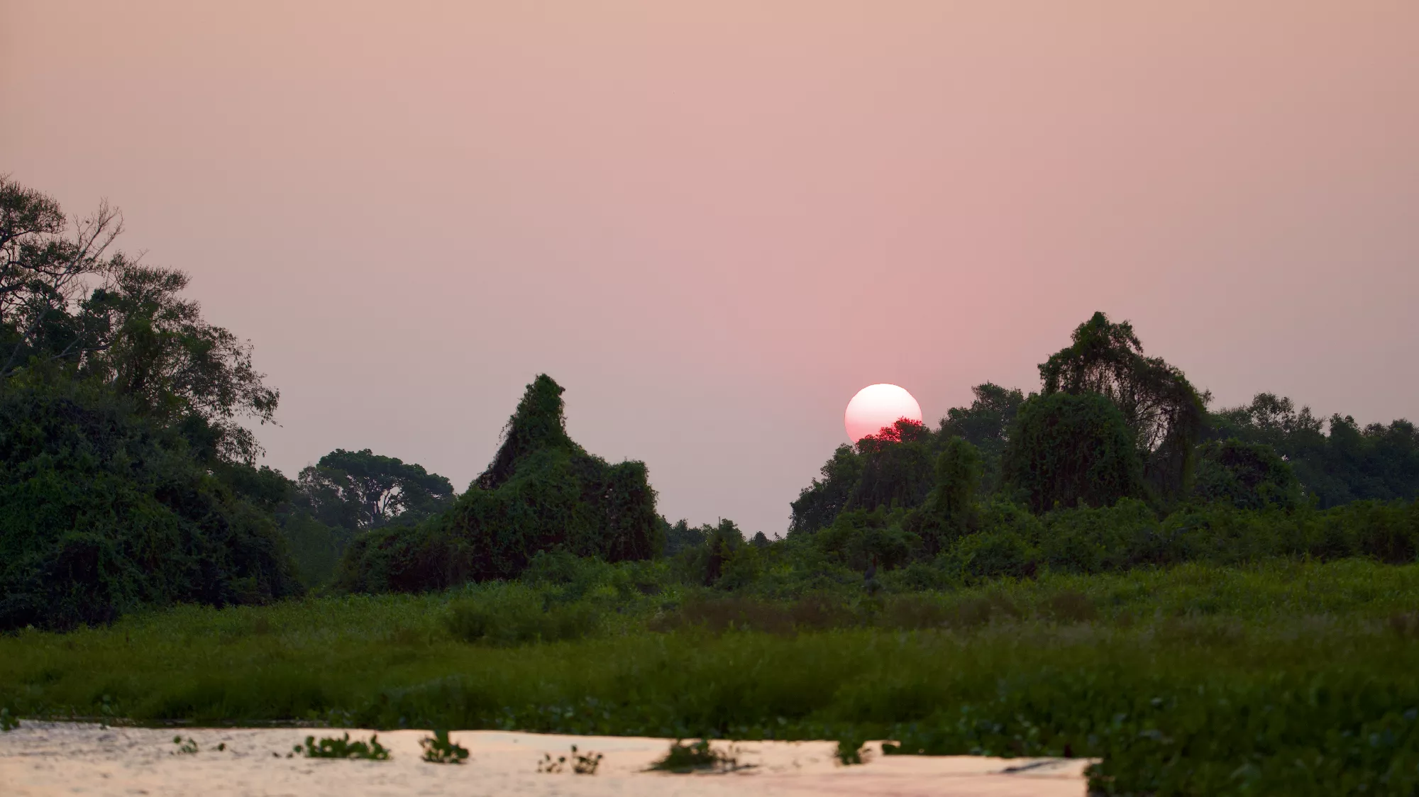 Portfolio/Pantanal/Photos/0B7A3176.webp