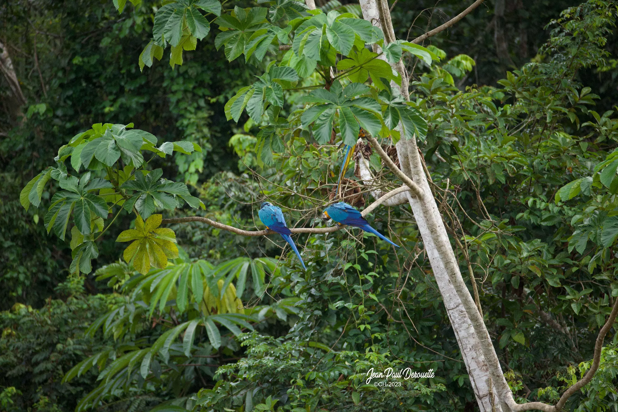 Portfolio/Perou/Photos/16_B7A1211.webp