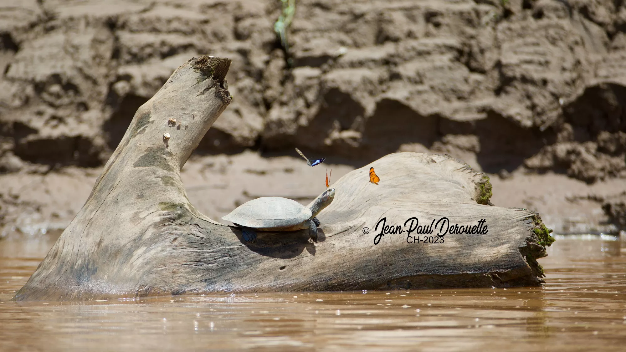 Portfolio/Perou/Photos/1_B7A9994.webp