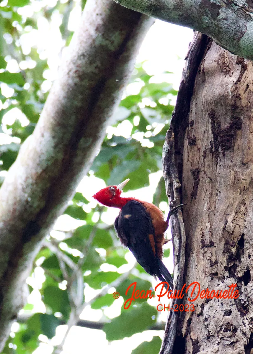 Portfolio/Perou/Photos/21_B7A2390.webp