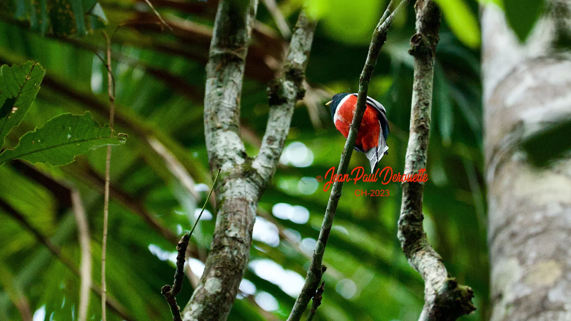 Portfolio/Perou/Photos/22_B7A2551.webp