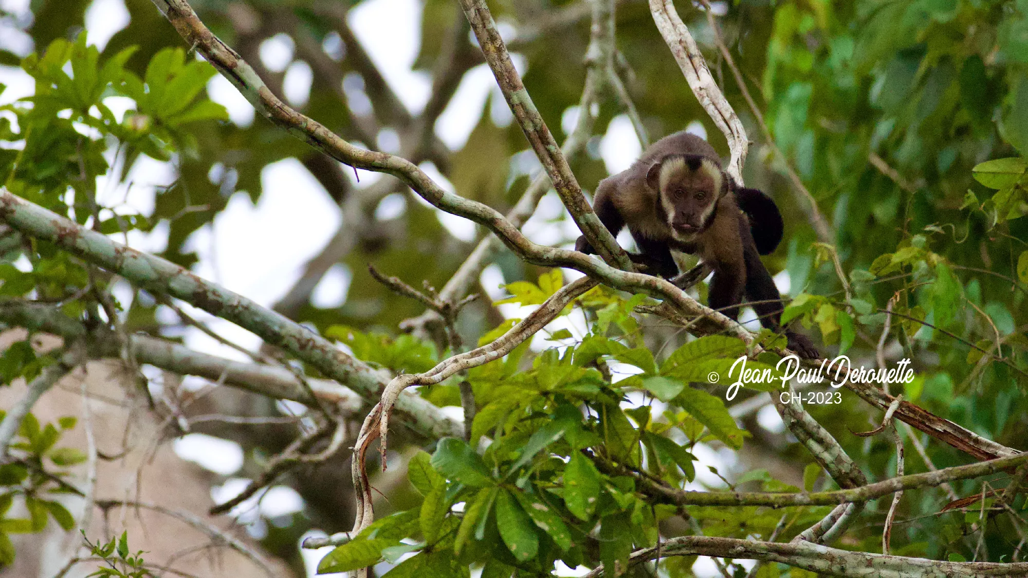 Portfolio/Perou/Photos/23_B7A9740.webp