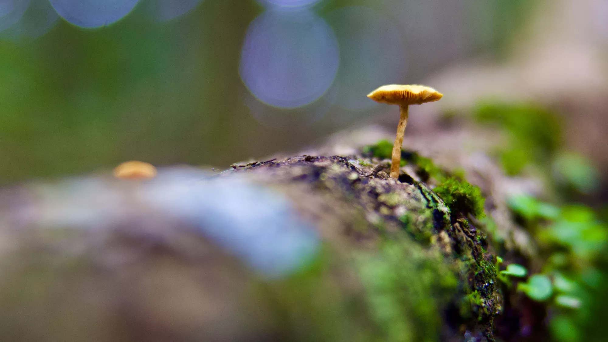 Portfolio/Perou/Photos/6_J2A7656.webp