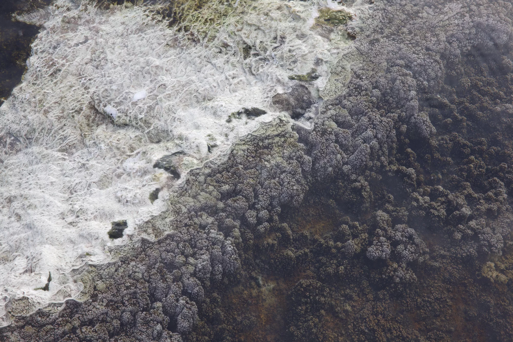 Portfolio/Yellowstone/Photos/B7A2142.webp
