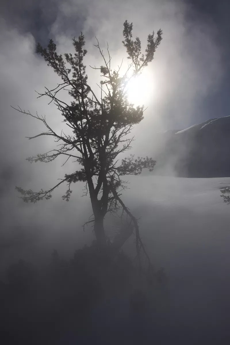 Portfolio/Yellowstone/Photos/B7A2247.webp