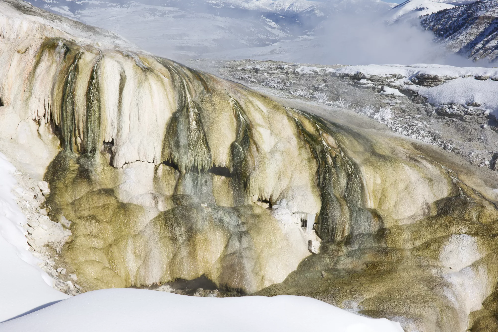 Portfolio/Yellowstone/Photos/B7A2439.webp