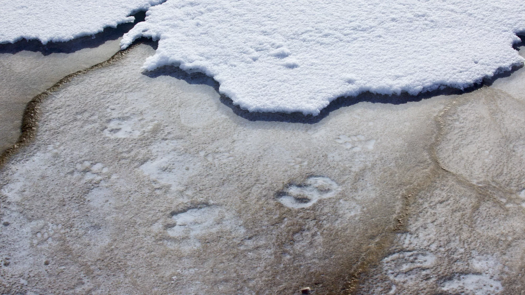 Portfolio/Yellowstone/Photos/B7A4520.webp