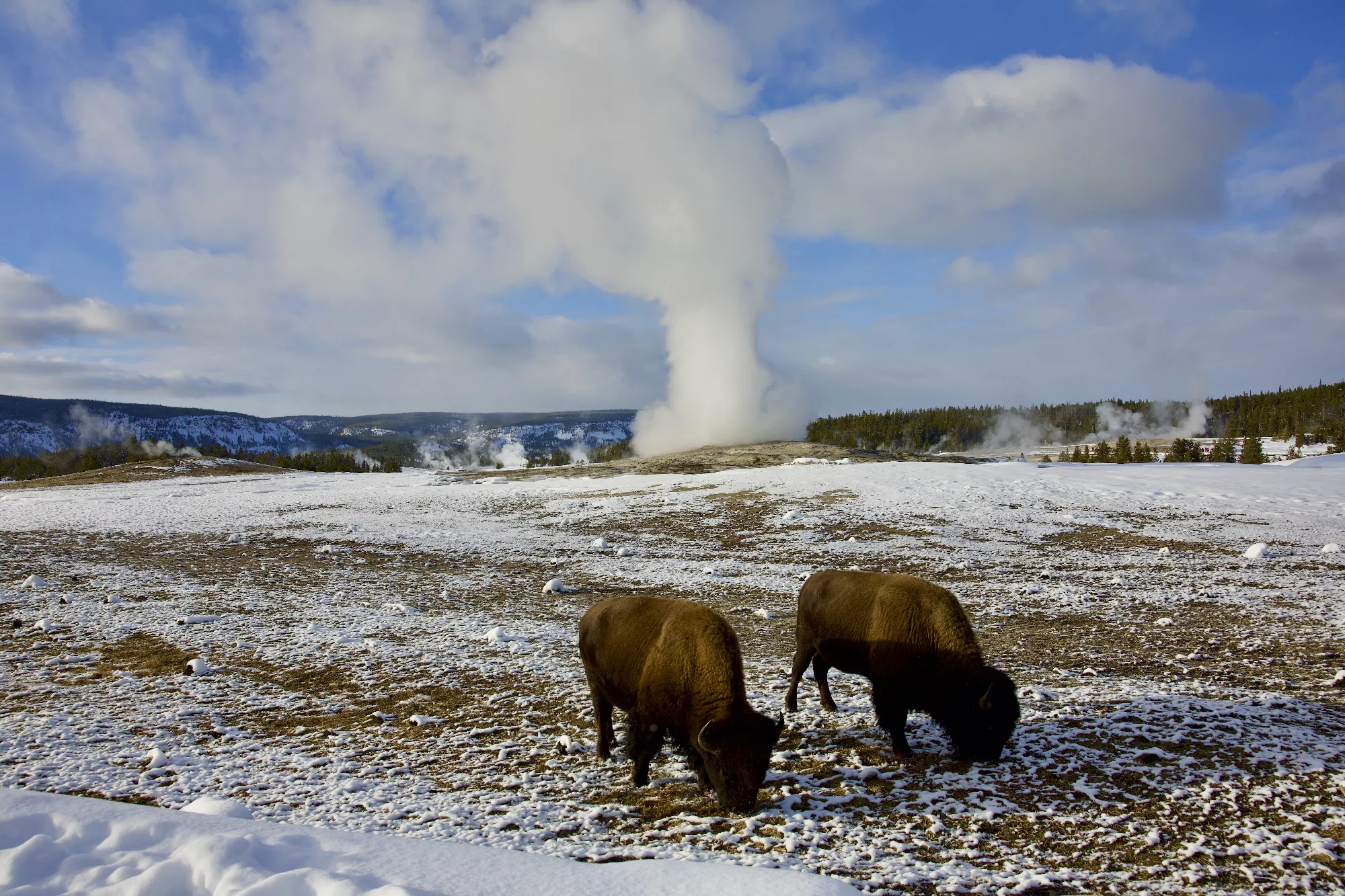 Portfolio/Yellowstone/Photos/B7A4704.webp