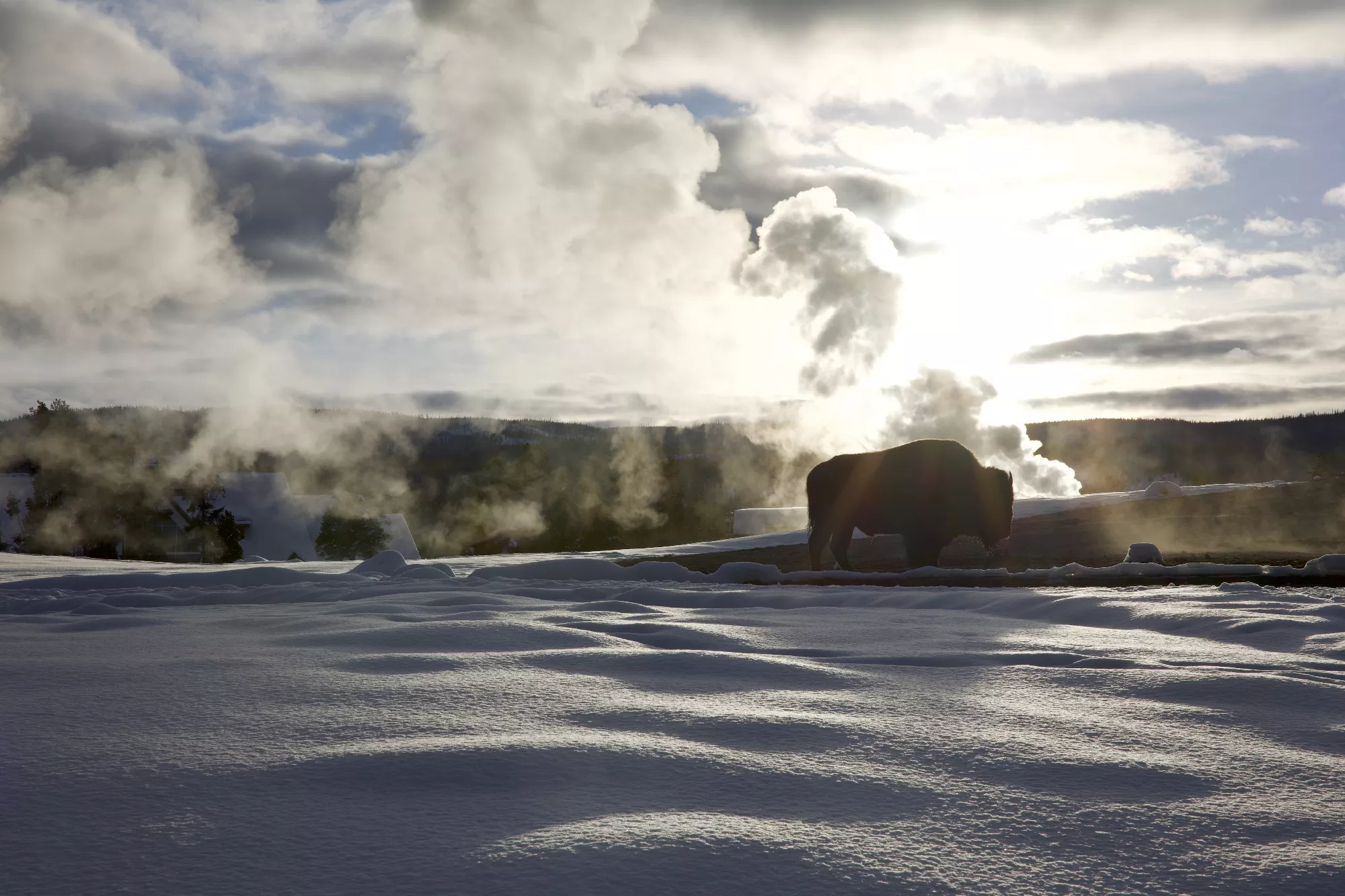 Portfolio/Yellowstone/Photos/B7A5068.webp