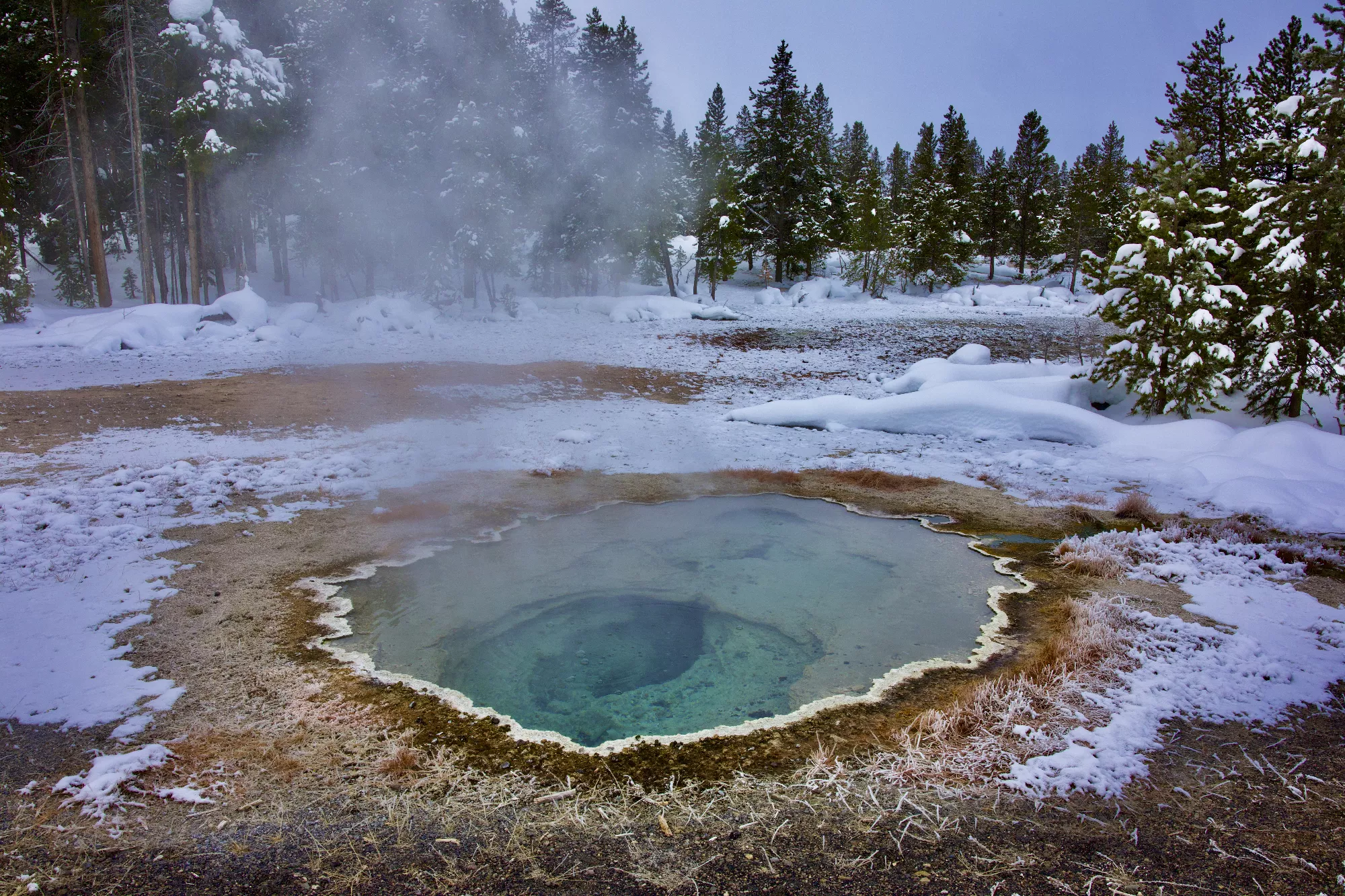 Portfolio/Yellowstone/Photos/B7A5134.webp