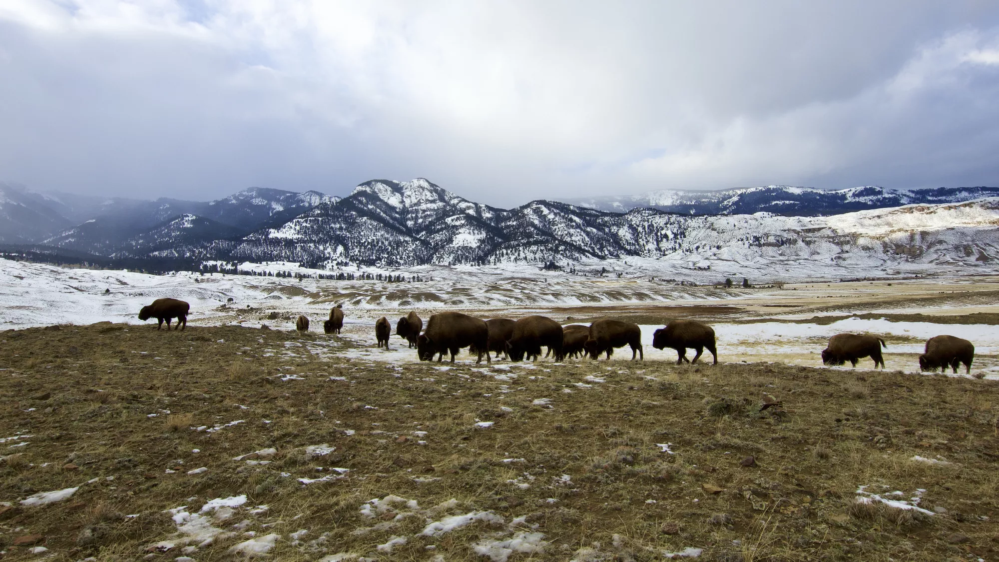 Portfolio/Yellowstone/Photos/B7A5523.webp