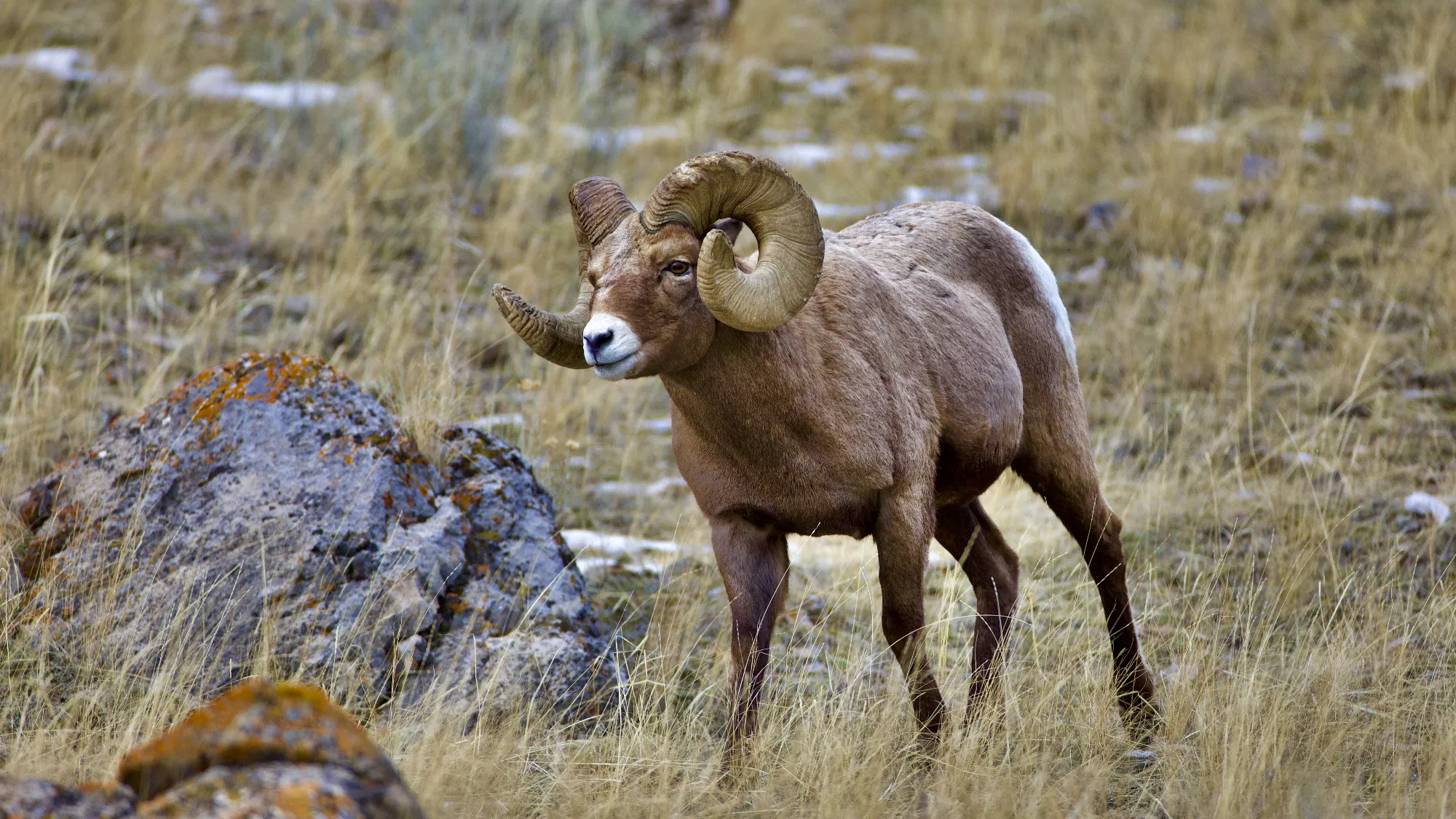 Portfolio/Yellowstone/Photos/B7A5881.webp