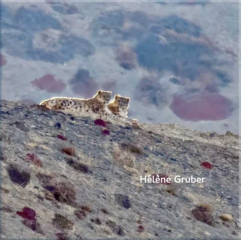 Ladakh